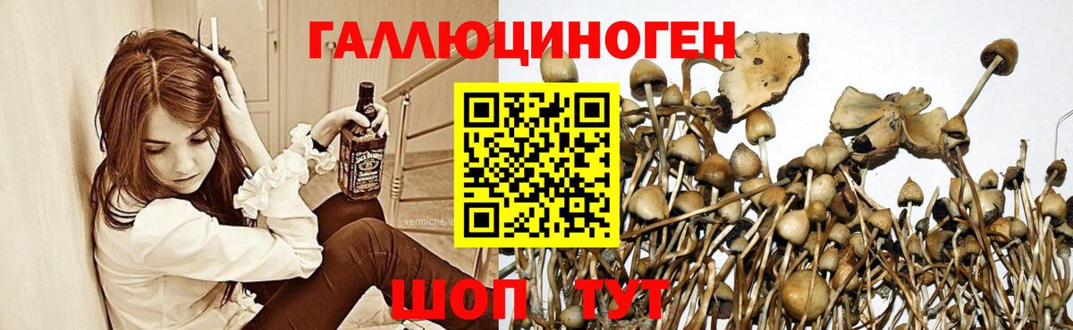 Псилоцибиновые грибы ЛСД Ухта